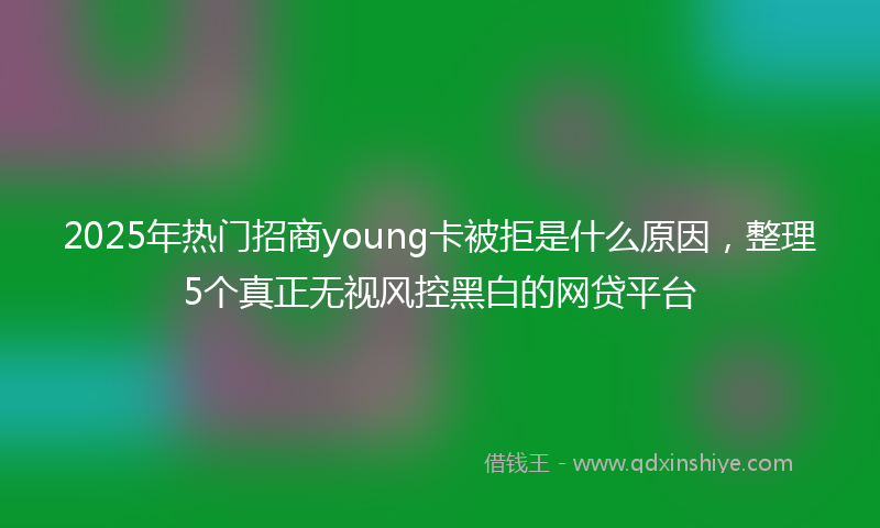 2025年热门招商young卡被拒是什么原因，整理5个真正无视风控黑白的网贷平台