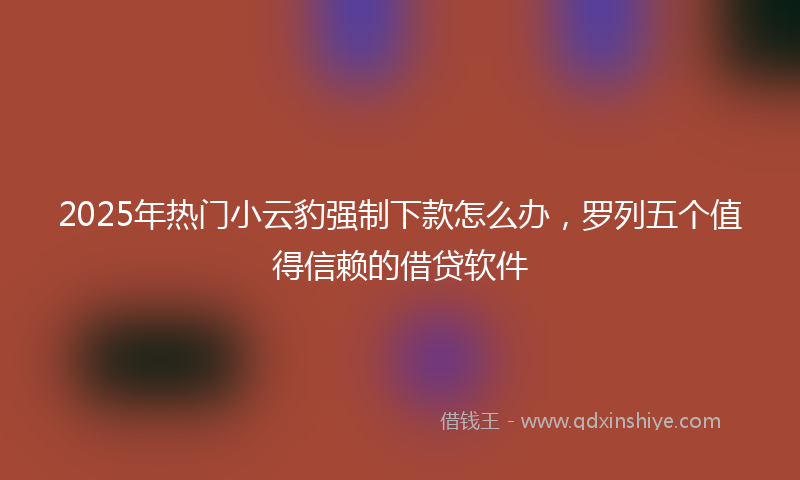 2025年热门小云豹强制下款怎么办，罗列五个值得信赖的借贷软件