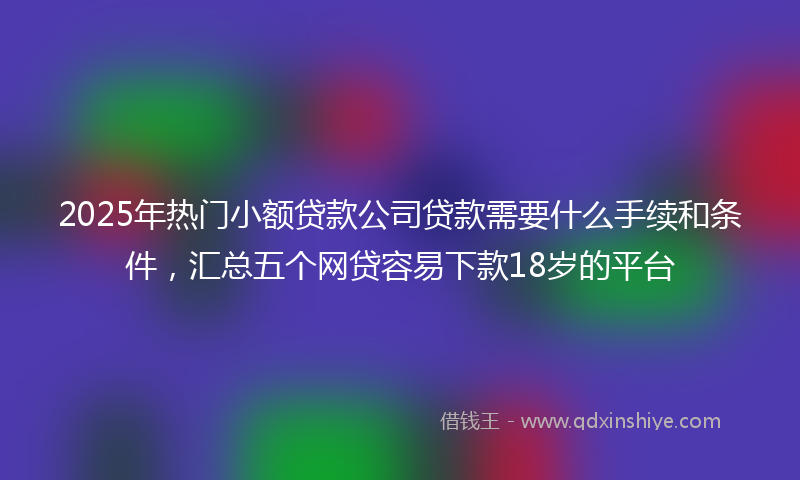 2025年热门小额贷款公司贷款需要什么手续和条件，汇总五个网贷容易下款18岁的平台