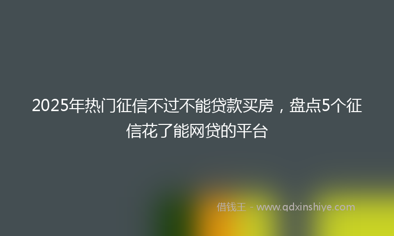 2025年热门征信不过不能贷款买房，盘点5个征信花了能网贷的平台