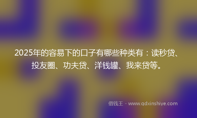 2025年的容易下的口子有哪些种类有：读秒贷、投友圈、功夫贷、洋钱罐、我来贷等。