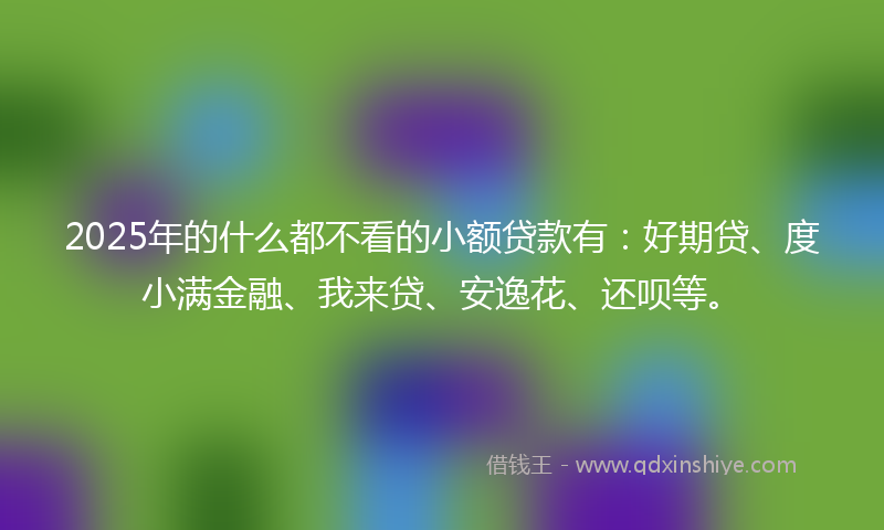2025年的什么都不看的小额贷款有：好期贷、度小满金融、我来贷、安逸花、还呗等。