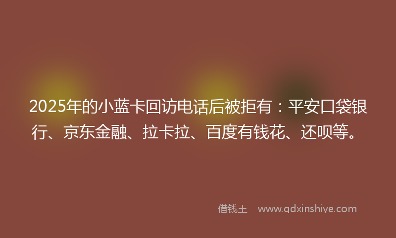 2025年的小蓝卡回访电话后被拒有：平安口袋银行、京东金融、拉卡拉、百度有钱花、还呗等。