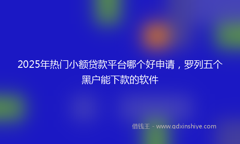 2025年热门小额贷款平台哪个好申请，罗列五个黑户能下款的软件