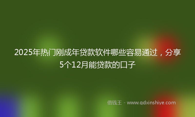 2025年热门刚成年贷款软件哪些容易通过，分享5个12月能贷款的口子