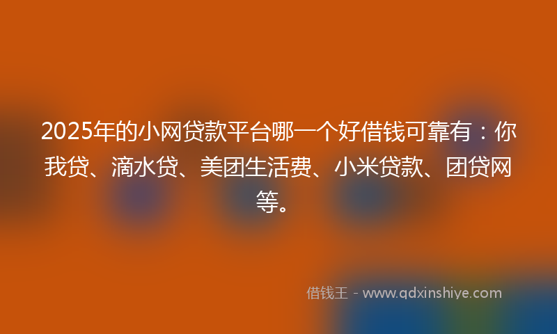 2025年的小网贷款平台哪一个好借钱可靠有：你我贷、滴水贷、美团生活费、小米贷款、团贷网等。