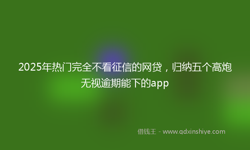 2025年热门完全不看征信的网贷，归纳五个高炮无视逾期能下的app
