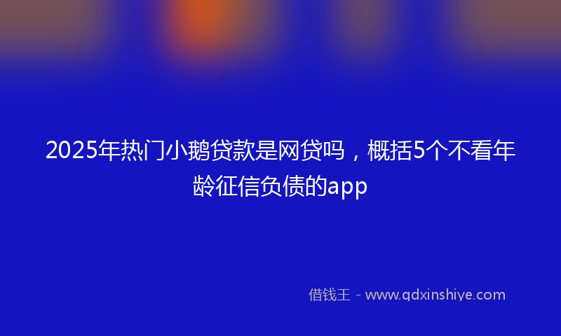 2025年热门小鹅贷款是网贷吗，概括5个不看年龄征信负债的app