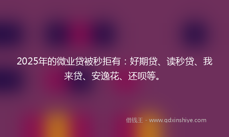 2025年的微业贷被秒拒有：好期贷、读秒贷、我来贷、安逸花、还呗等。