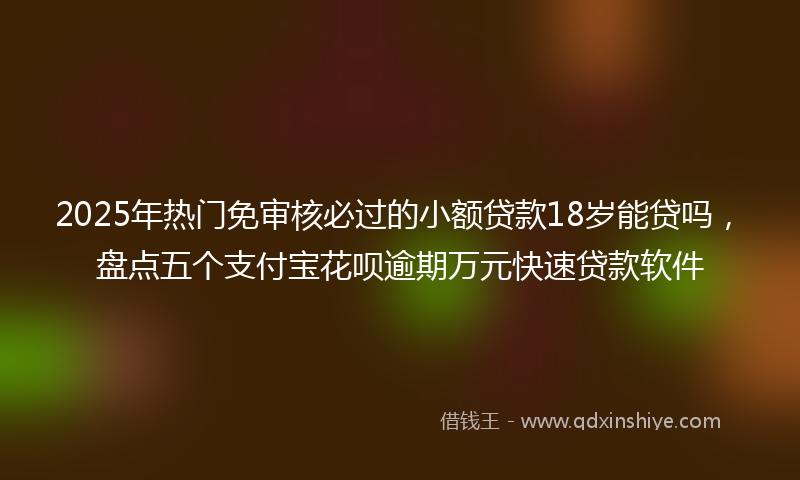 2025年热门免审核必过的小额贷款18岁能贷吗，盘点五个支付宝花呗逾期万元快速贷款软件
