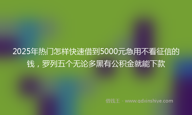 2025年热门怎样快速借到5000元急用不看征信的钱，罗列五个无论多黑有公积金就能下款