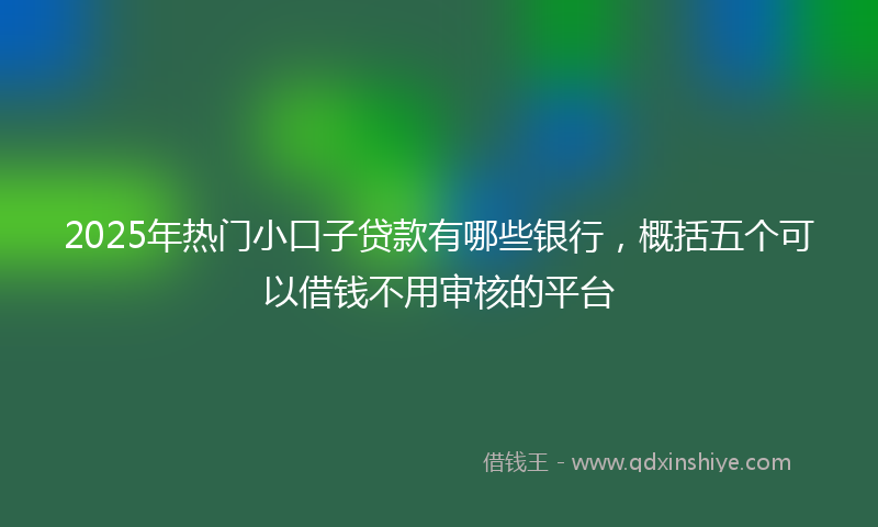 2025年热门小口子贷款有哪些银行，概括五个可以借钱不用审核的平台