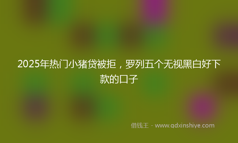 2025年热门小猪贷被拒，罗列五个无视黑白好下款的口子
