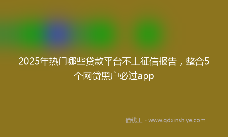 2025年热门哪些贷款平台不上征信报告，整合5个网贷黑户必过app