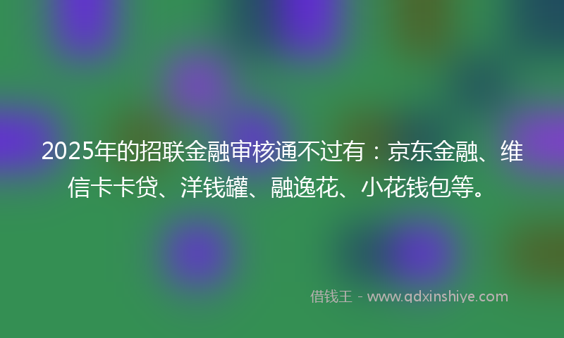 2025年的招联金融审核通不过有：京东金融、维信卡卡贷、洋钱罐、融逸花、小花钱包等。