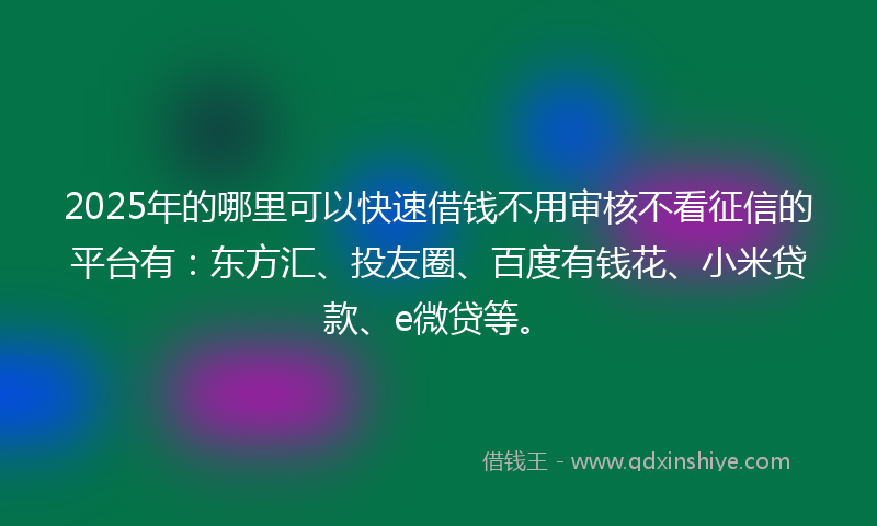 2025年的哪里可以快速借钱不用审核不看征信的平台有：东方汇、投友圈、百度有钱花、小米贷款、e微贷等。