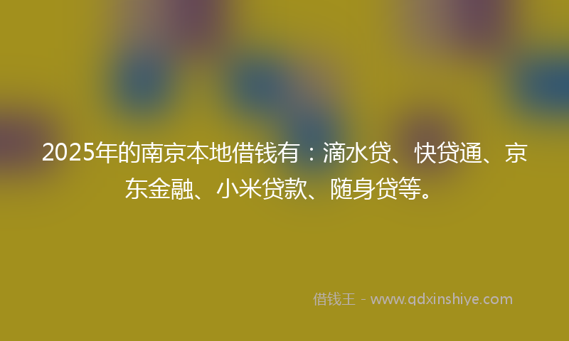 2025年的南京本地借钱有：滴水贷、快贷通、京东金融、小米贷款、随身贷等。