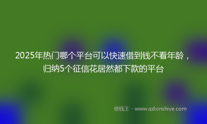 2025年热门哪个平台可以快速借到钱不看年龄，归纳5个征信花居然都下款的平台