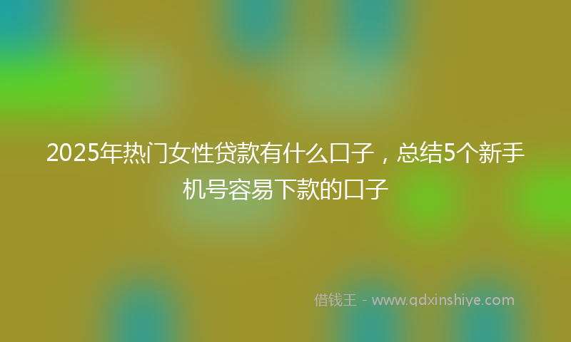2025年热门女性贷款有什么口子，总结5个新手机号容易下款的口子