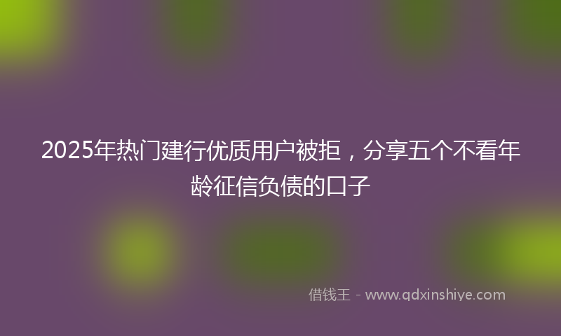 2025年热门建行优质用户被拒，分享五个不看年龄征信负债的口子