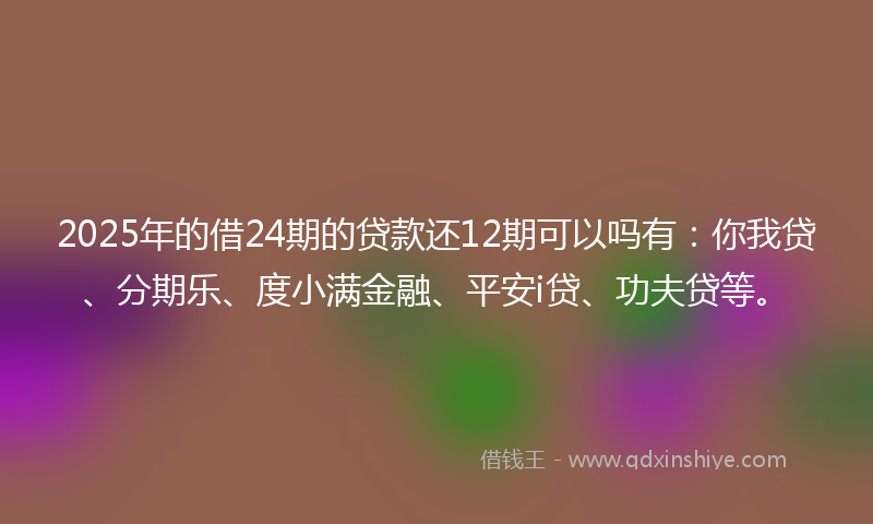 2025年的借24期的贷款还12期可以吗有：你我贷、分期乐、度小满金融、平安i贷、功夫贷等。