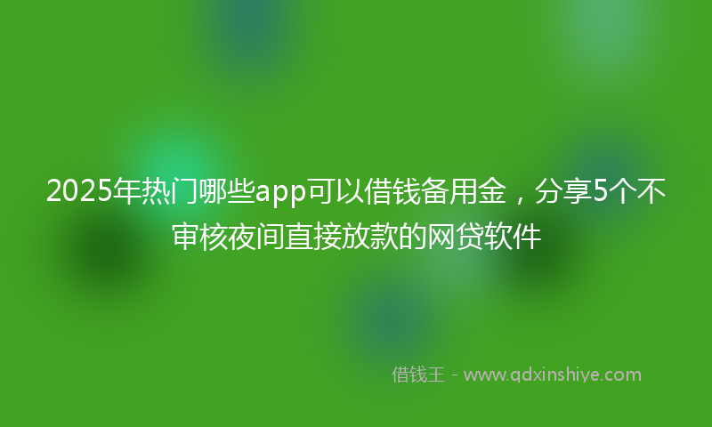 2025年热门哪些app可以借钱备用金，分享5个不审核夜间直接放款的网贷软件