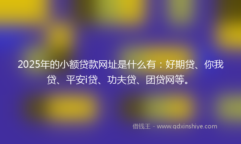 2025年的小额贷款网址是什么有：好期贷、你我贷、平安i贷、功夫贷、团贷网等。