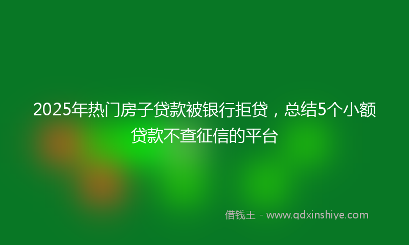 2025年热门房子贷款被银行拒贷，总结5个小额贷款不查征信的平台