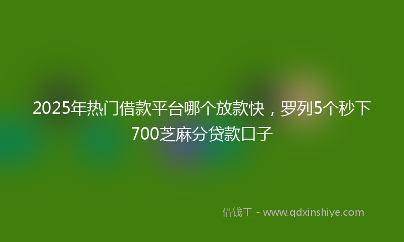 2025年热门借款平台哪个放款快，罗列5个秒下700芝麻分贷款口子
