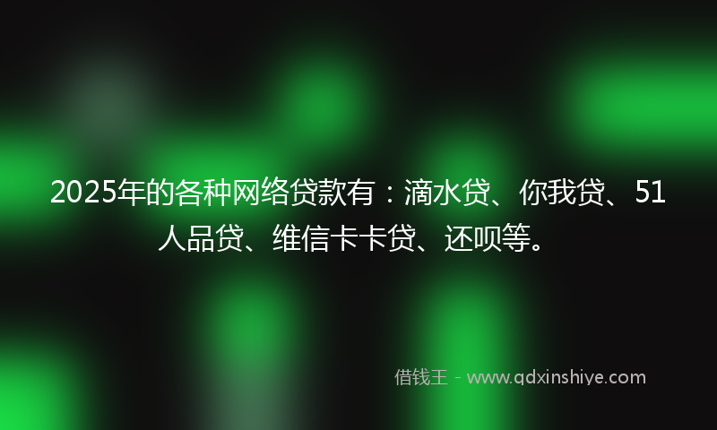 2025年的各种网络贷款有：滴水贷、你我贷、51人品贷、维信卡卡贷、还呗等。