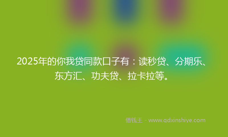 2025年的你我贷同款口子有：读秒贷、分期乐、东方汇、功夫贷、拉卡拉等。