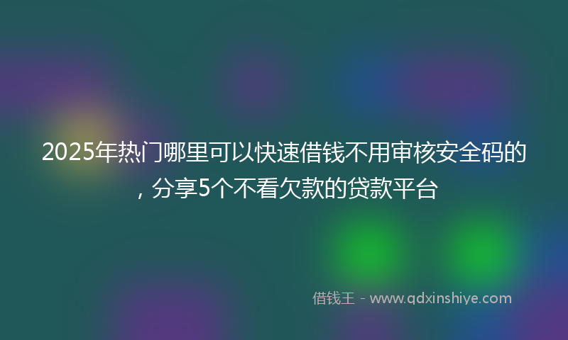 2025年热门哪里可以快速借钱不用审核安全码的，分享5个不看欠款的贷款平台