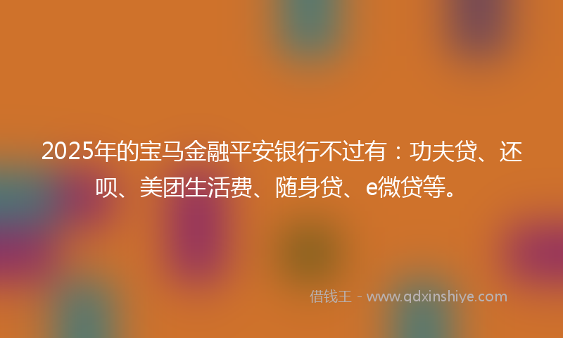 2025年的宝马金融平安银行不过有：功夫贷、还呗、美团生活费、随身贷、e微贷等。