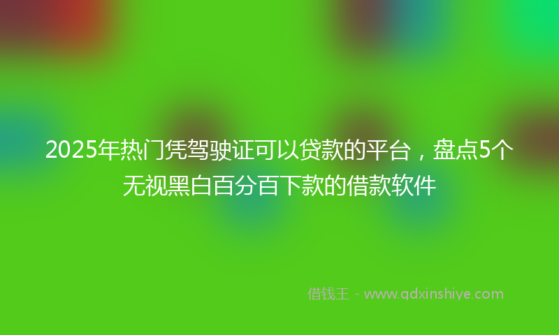 2025年热门凭驾驶证可以贷款的平台，盘点5个无视黑白百分百下款的借款软件