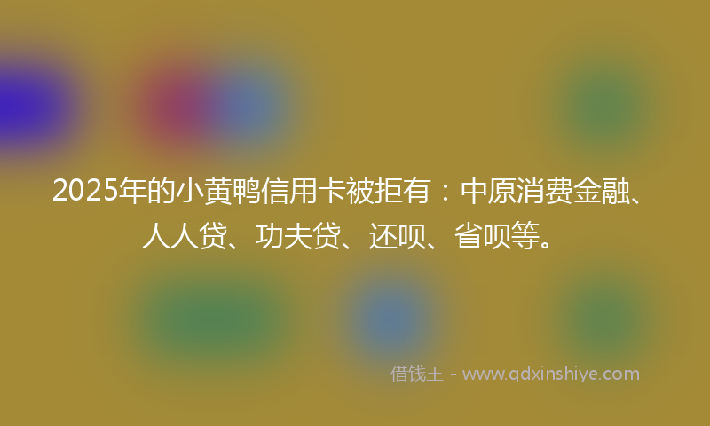 2025年的小黄鸭信用卡被拒有：中原消费金融、人人贷、功夫贷、还呗、省呗等。