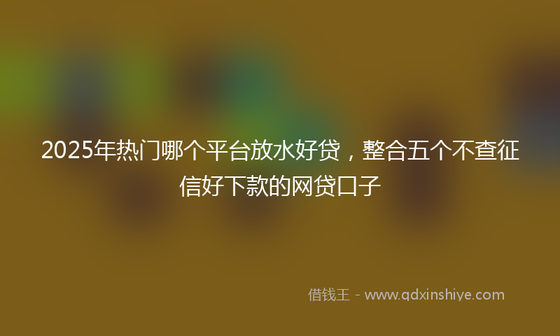 2025年热门哪个平台放水好贷，整合五个不查征信好下款的网贷口子