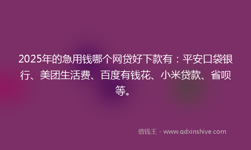 2025年的急用钱哪个网贷好下款有：平安口袋银行、美团生活费、百度有钱花、小米贷款、省呗等。