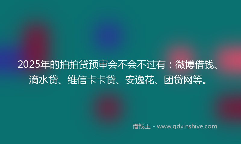 2025年的拍拍贷预审会不会不过有：微博借钱、滴水贷、维信卡卡贷、安逸花、团贷网等。