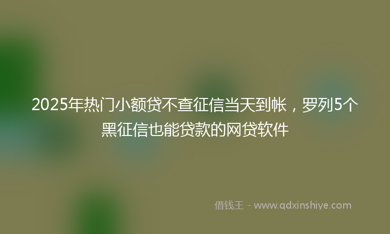 2025年热门小额贷不查征信当天到帐，罗列5个黑征信也能贷款的网贷软件