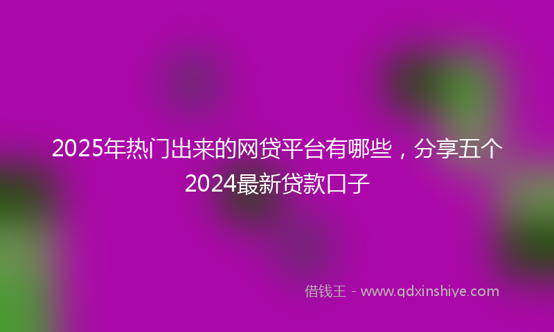 2025年热门出来的网贷平台有哪些，分享五个2024最新贷款口子