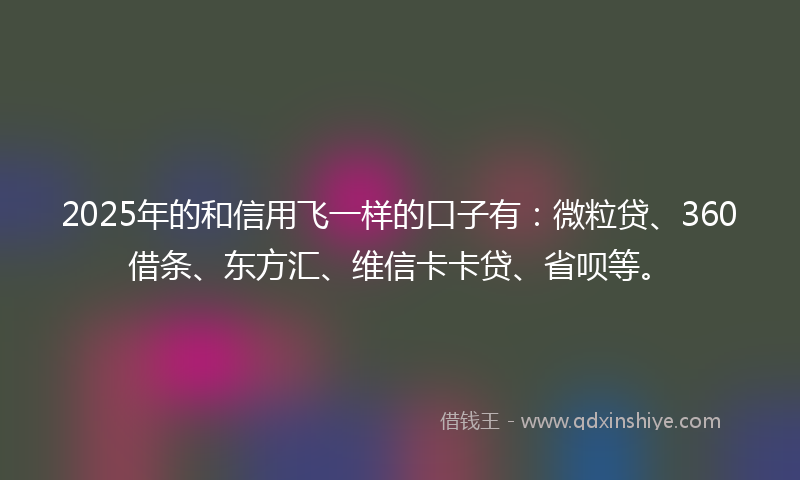 2025年的和信用飞一样的口子有：微粒贷、360借条、东方汇、维信卡卡贷、省呗等。