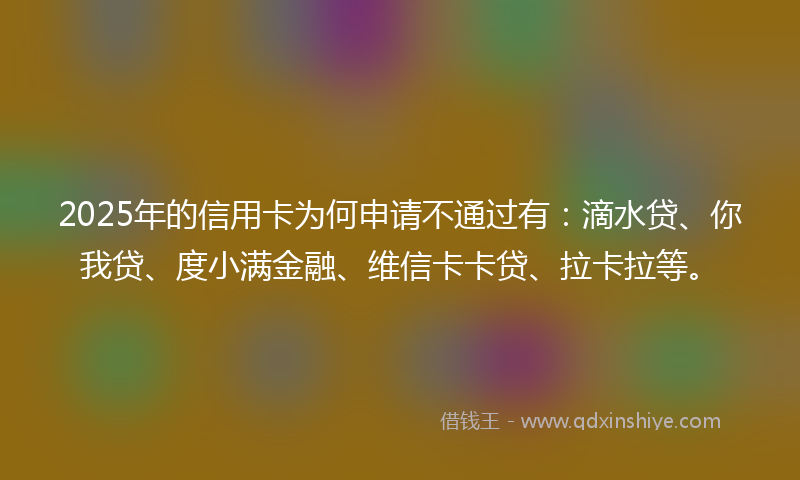 2025年的信用卡为何申请不通过有：滴水贷、你我贷、度小满金融、维信卡卡贷、拉卡拉等。