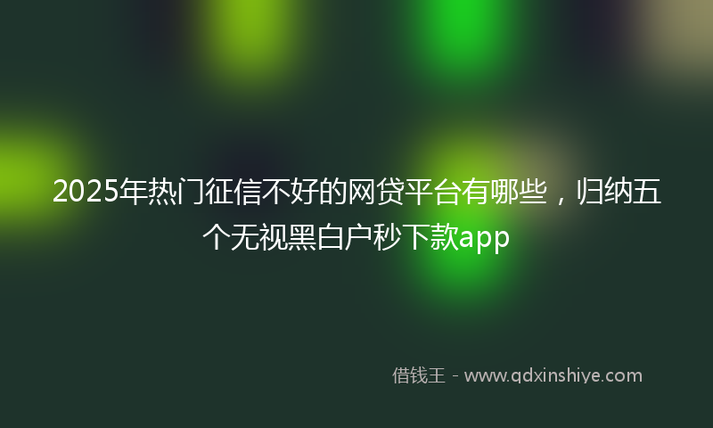 2025年热门征信不好的网贷平台有哪些，归纳五个无视黑白户秒下款app