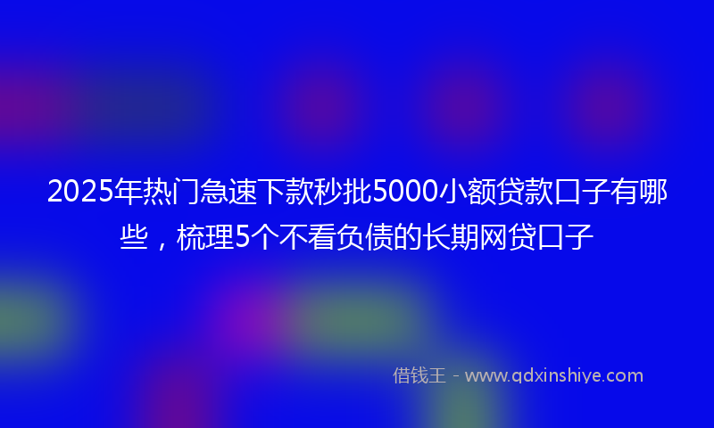 2025年热门急速下款秒批5000小额贷款口子有哪些，梳理5个不看负债的长期网贷口子