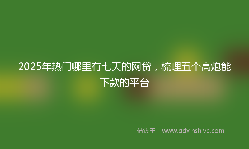 2025年热门哪里有七天的网贷，梳理五个高炮能下款的平台