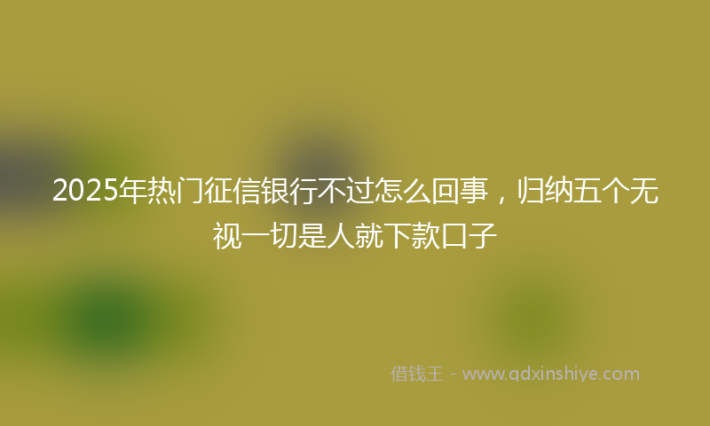 2025年热门征信银行不过怎么回事，归纳五个无视一切是人就下款口子