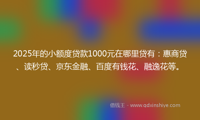 2025年的小额度贷款1000元在哪里贷有：惠商贷、读秒贷、京东金融、百度有钱花、融逸花等。