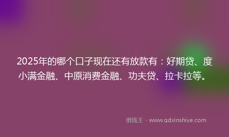 2025年的哪个口子现在还有放款有：好期贷、度小满金融、中原消费金融、功夫贷、拉卡拉等。