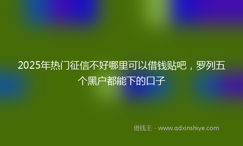 2025年热门征信不好哪里可以借钱贴吧，罗列五个黑户都能下的口子
