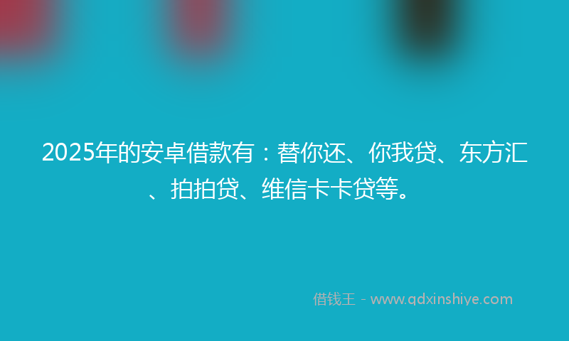 2025年的安卓借款有：替你还、你我贷、东方汇、拍拍贷、维信卡卡贷等。